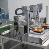 Inline Desktop Screw Inserting Automation Robot for Production Line